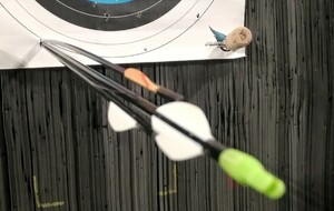 Un Robin et pas que de nom !!